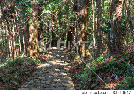 《和歌山縣》熊野古道/大門坂 88363647