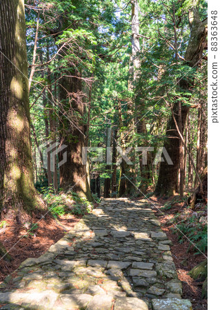 《和歌山縣》熊野古道/大門坂 《和歌山縣》熊野古道/大門坂 88363648