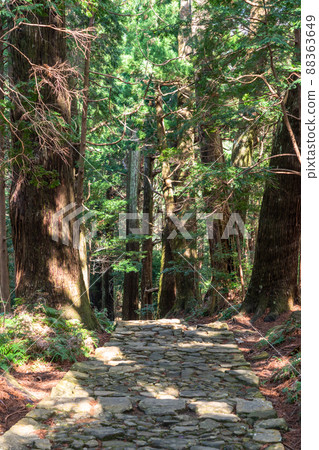 《和歌山縣》熊野古道/大門坂 88363649