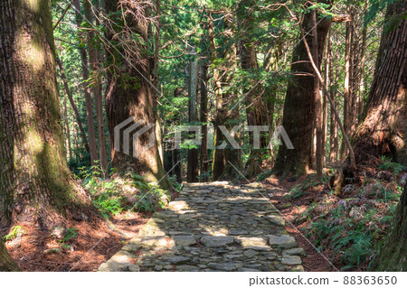 《和歌山縣》熊野古道/大門坂 《和歌山縣》熊野古道/大門坂 88363650