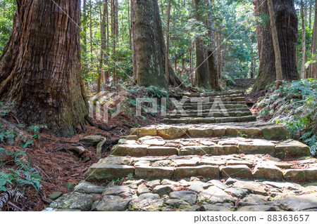 《和歌山縣》熊野古道/大門坂 88363657