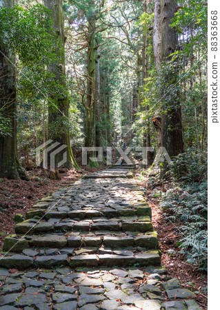 《和歌山縣》熊野古道/大門坂 《和歌山縣》熊野古道/大門坂 88363668
