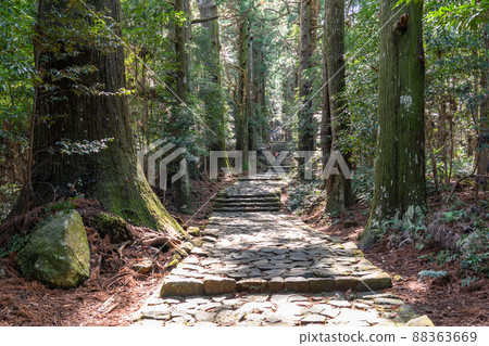 《和歌山縣》熊野古道/大門坂 《和歌山縣》熊野古道/大門坂 88363669