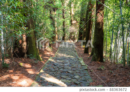 《Wakayama Prefecture》 Kumano Kodo / Daimonzaka 88363672