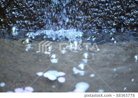 泡泡的世界 88363778