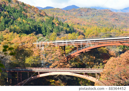 我去了Yukiwari Kaya＃59 88364452