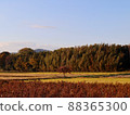 Country autumn landscape 88365300