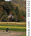 Autumn field work 88365302