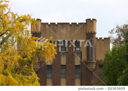 Former 4th Division Headquarters Government Building (currently Miraiza Osaka) front and yellow leaves of ginkgo 88365609