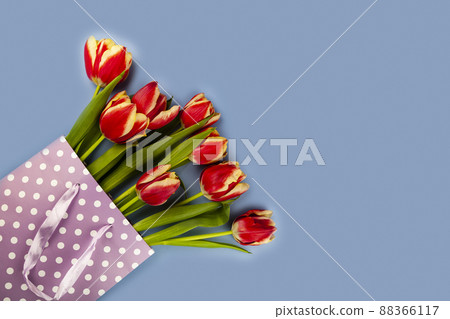 Composition with tulips in paper bag on blue background. Composition with tulips in paper bag on blue background. 88366117