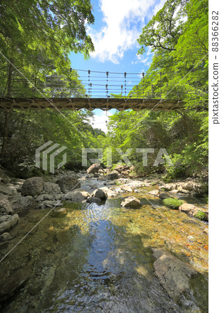 河和懸索橋 河和懸索橋 88366282