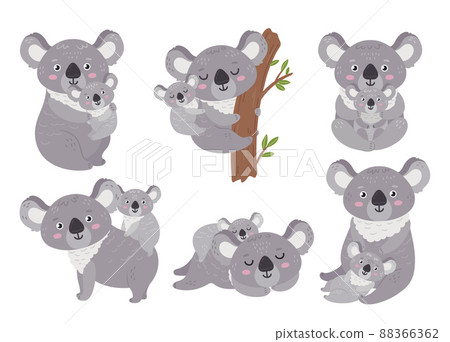 Koala and baby. Animal mother hugs babies... - Stock Illustration  [88366362] - PIXTA