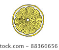 Lemon sliced illustration 88366656