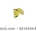 Illustration of comb-cut lemon 88366664