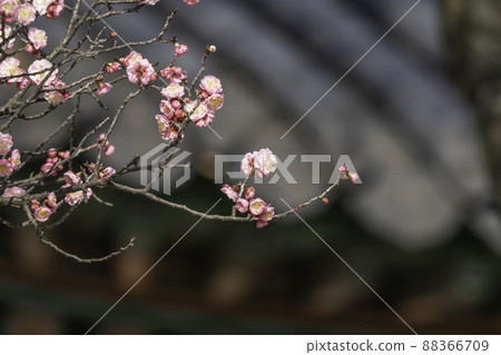 昌德宮 昌德宮 88366709