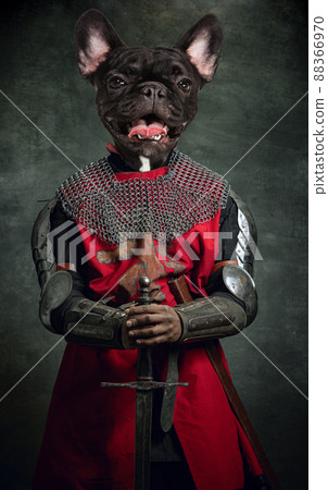 Surreal artwork with medieval knight, warrior headed of dog's head wearing armour isolated over dark vintage background. Comparison of eras, history. Contemporary artcollage 88366970