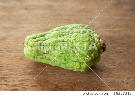 Chayote to be a seed 88367313