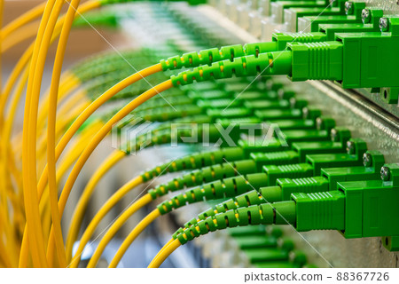Optic Fiber Distribution Patch Panel with Connected Optical Cable, Telecommunication and IT Hardware Solutions Optic Fiber Distribution Patch Panel with Connected Optical Cable, Telecommunication and IT Hardware Solutions 88367726