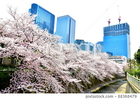 Fushimibashi / Looking upstream from the Kanda River (Shinjuku-ku, Tokyo) [2022.3] 88368479