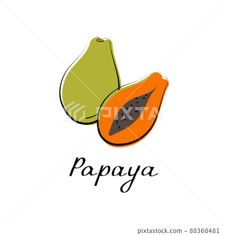 Papaya icon. Hand drawn vector isolated food icon. Illustration of tropical fruit Papaya icon. Hand drawn vector isolated food icon. Illustration of tropical fruit 88368481