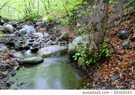 Stones. Mountain stream. The rocky shore. Water flows over rocks.  88368583