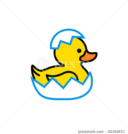 Yellow duck chick hatches from an egg Yellow duck chick hatches from an egg 88368651