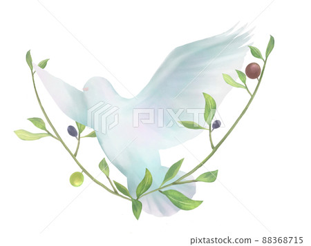 Watercolor illustration of white dove and olive Watercolor illustration of white dove and olive 88368715