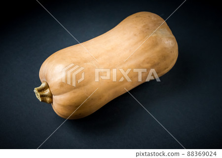 Butternut squash isolated on black background Butternut squash isolated on black background 88369024