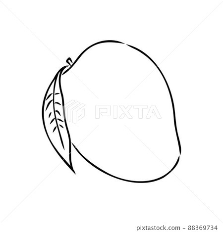 Mango hand drawn illustration by ink and pen sketch. Isolated vector design for using in natural or organic fruit product and health care goods. Mango hand drawn illustration by ink and pen sketch. Isolated vector design for using in natural or organic fruit product and health care goods. 88369734
