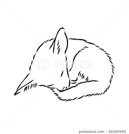Vector illustration of a young fennec fox walking. fox fenek vector sketch 88369940