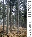 Mie Prefecture Tsu City Misugi Town Mitsumata Colony 88370048