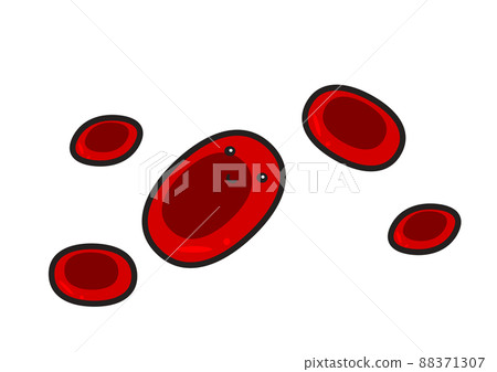 Erythrocyte Erythrocyte 88371307