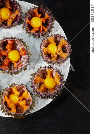 Sea urchins in a ceramic bowl with ice on. Sea urchin dish with quail egg and soy sauce. Sea urchins in a ceramic bowl with ice on. Sea urchin dish with quail egg and soy sauce. 88372017