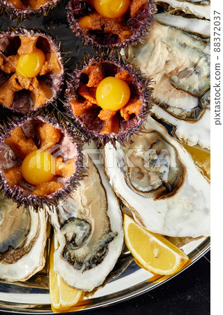 Top view of seafood platter: shellfish, oysters, sea urchin and balsamic sauce 88372037