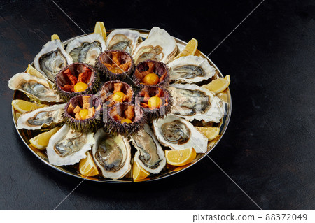 Top view of seafood platter: shellfish, oysters, sea urchin and balsamic sauce Top view of seafood platter: shellfish, oysters, sea urchin and balsamic sauce 88372049