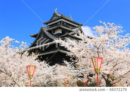 [島根縣]盛開的松江城天守閣（國寶） 88372270