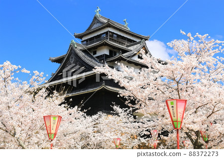 [島根縣]盛開的松江城天守閣（國寶） 88372273