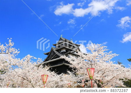 [Shimane Prefecture] Matsue Castle castle tower in full bloom (national treasure) 88372287
