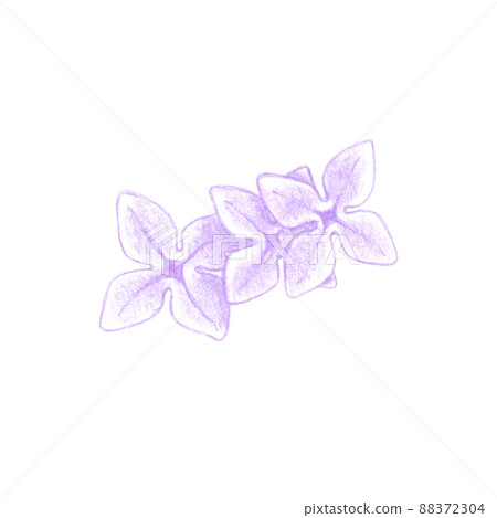 colored pencil drawing purple and white flowers