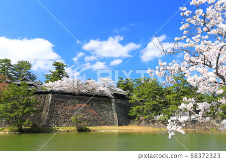 [島根縣]櫻花盛開的松江城，南塔，中塔（三海腳塔） 88372323