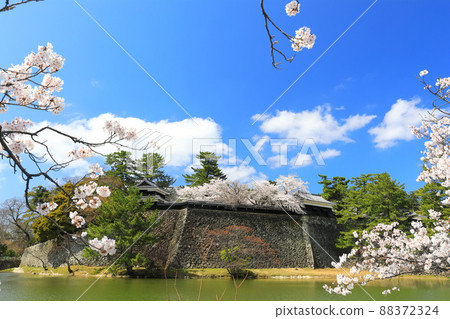 [島根縣]櫻花盛開的松江城，南塔，中塔（三海腳塔） 88372324