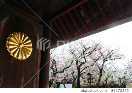 Yasukuni Shrine 88372365