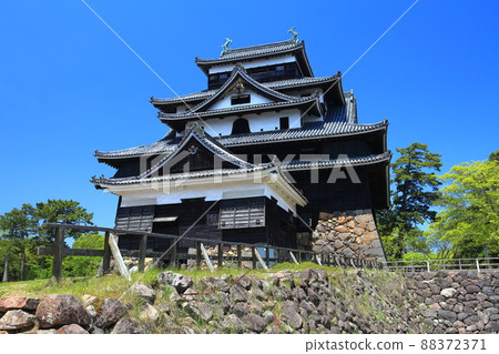 [島根縣]國寶松江城在晴天下 88372371