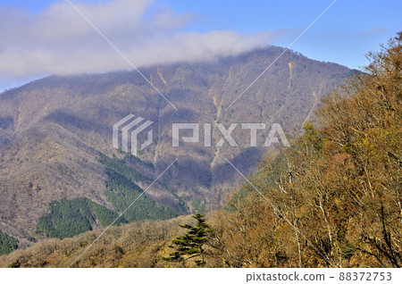 深秋從西丹澤大室看大室山 88372753