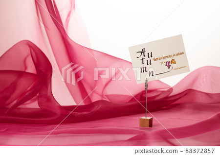 Image of autumn 88372857