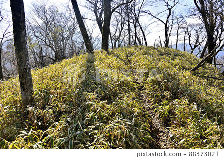 The summit of Kumasasanomine in Tanzawa The summit of Kumasasanomine in Tanzawa 88373021