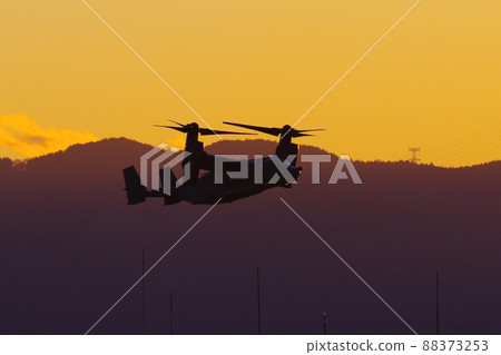 Osprey flying in the evening 88373253