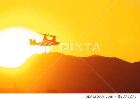 Osprey flying in the evening 88373273
