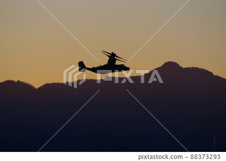 魚鷹在晚上飛 88373293