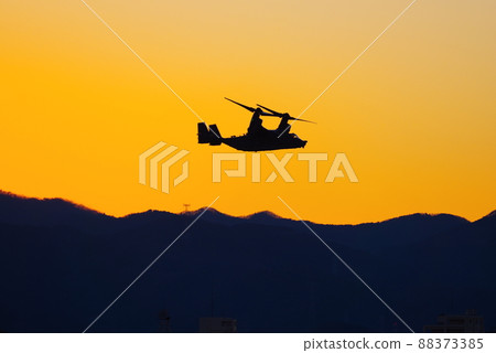 魚鷹在晚上飛 88373385